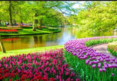 Circular 145 Crucero: PAISES BAJOS y BÉLGICA 12 a 19 de Junio 2.026