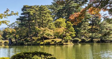 Excursión a Japón 4 a 15 de Octubre de 2026.